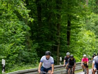 2026-bergchallenge-michael-beuchert-66 : 14.06.2026, 14.06.26, 2026, Amorbach, Benefiz, Bergchallenge, Boxbrunn, Fahrrad, Fripa, Juni, Rad, Radevent, Rennrad, Sonntag, Team, TeamFripa